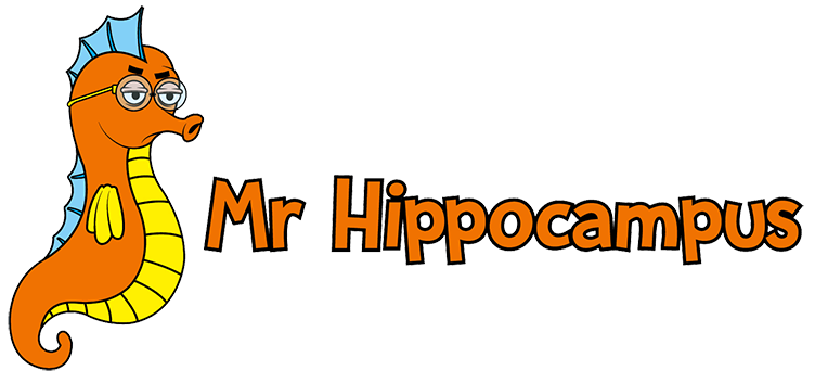 Mr Hippocampus: a community of connected people to advocate for lasting peace in Europe.